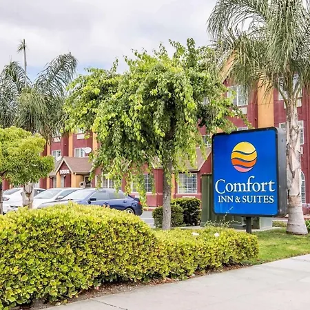 Comfort Inn & Suites Salinas